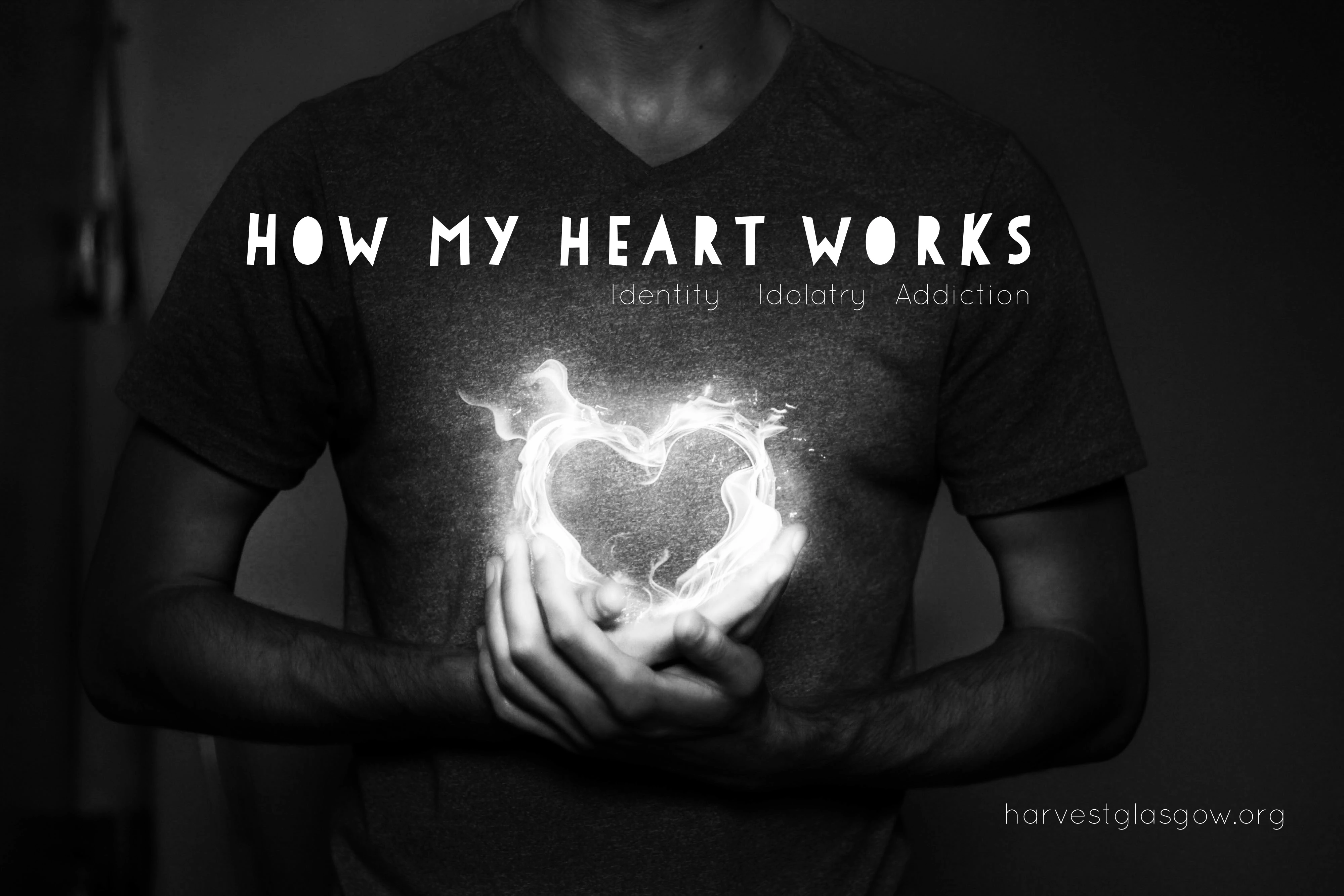 How my heart works