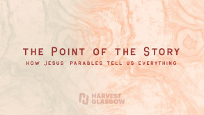 Series artwork for The Point of the Story