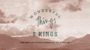 Series artwork for Wonderful Things